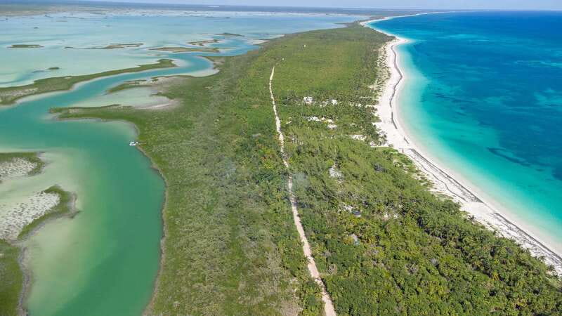 From Riviera Maya: Sian Ka'an Half Day Tour w/ Lunch - Mangroves, canals, and flooded sinkholes