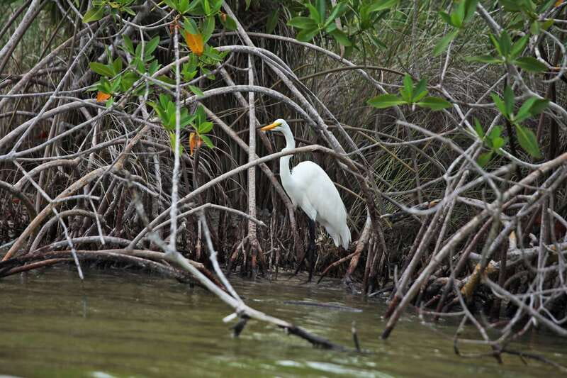 From Riviera Maya: Sian Ka'an Half Day Tour w/ Lunch - The Tulum pickup and ride to the reserve