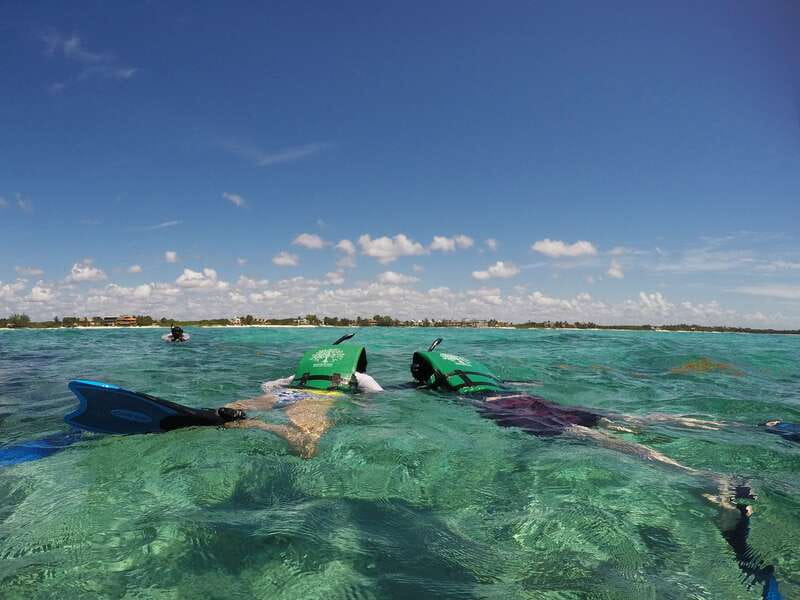 From Riviera Maya: Snorkeling & Private Cenote Half-Day Tour - A serious eco message, not just a slogan
