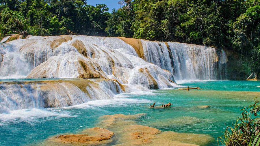 From San Cristóbal: Agua Azul and Palenque Day Trip - Agua Azul when the water is cooperating