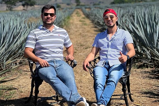 Full Day in Tequila with Tasting and party in Cantaritos - Tequila town: two hours for food and local sights