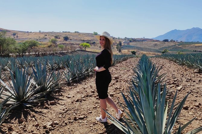 Full Day in Tequila with Tasting and party in Cantaritos - Value, group size, and what is included