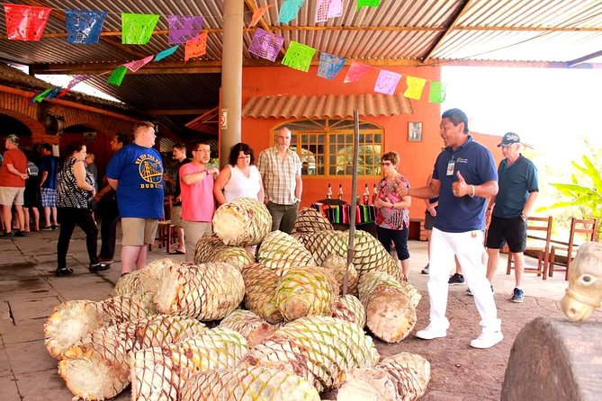 Full-Day Puerto Vallarta City Highlights Tour - Lunch can change both the cost and the timing