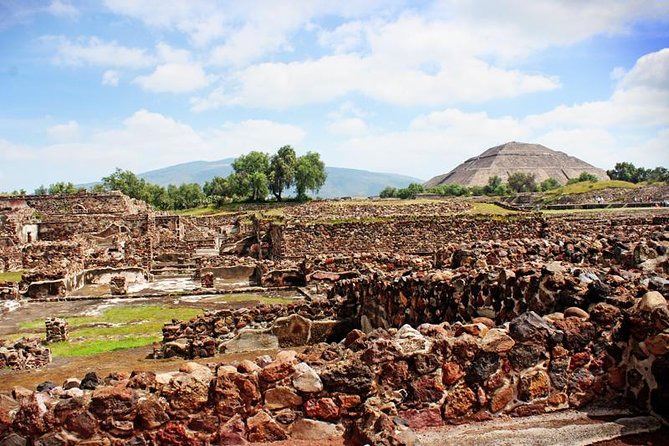 Full-Day Teotihuacan & Basilica Guadalupe Tour - Guides and drivers make a real difference