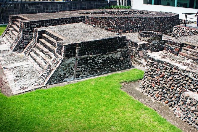 Full-Day Teotihuacan & Basilica Guadalupe Tour - Who should book this Mexico City day tour?