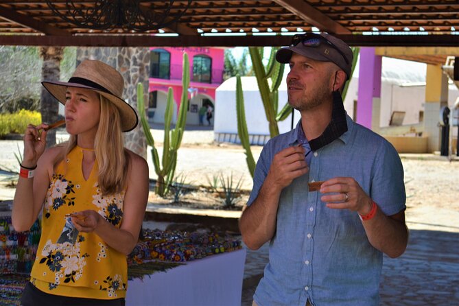 Full Day Tour to Tequila and Amatitán with Fun and Culture - What $47.10 really gets you