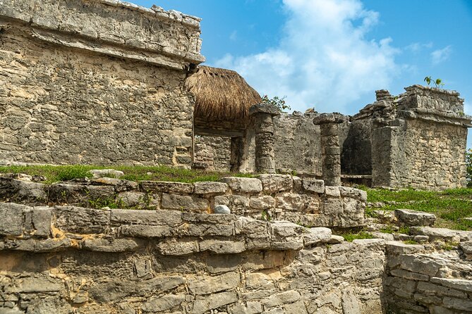 Full Day Tulum Ruins Tour Cenote and Swimming with Sea Turtles - Pickup details from Playa del Carmen and Tulum