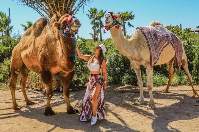 Fun Camel Ride and UTV COMBO with Tequila Tasting! - The UTV and ATV run through Baja desert