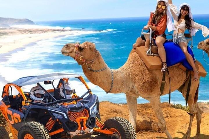 Fun Camel Ride and UTV COMBO with Tequila Tasting! - The fees require careful reading