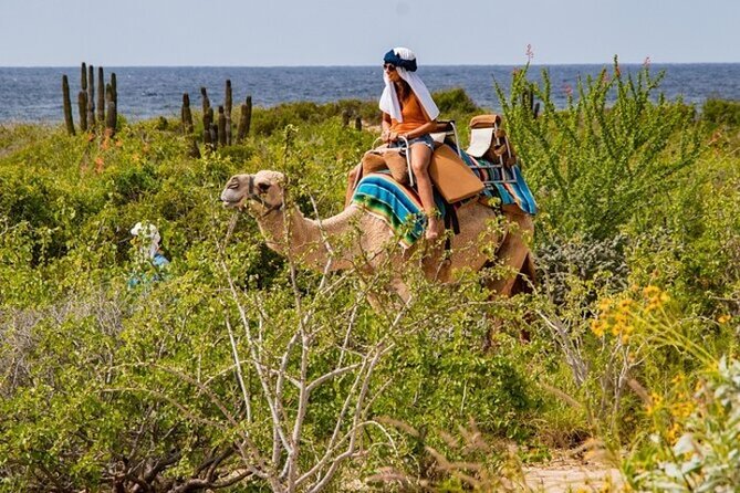 Fun Camel Ride and UTV COMBO with Tequila Tasting! - Photo rules are strict