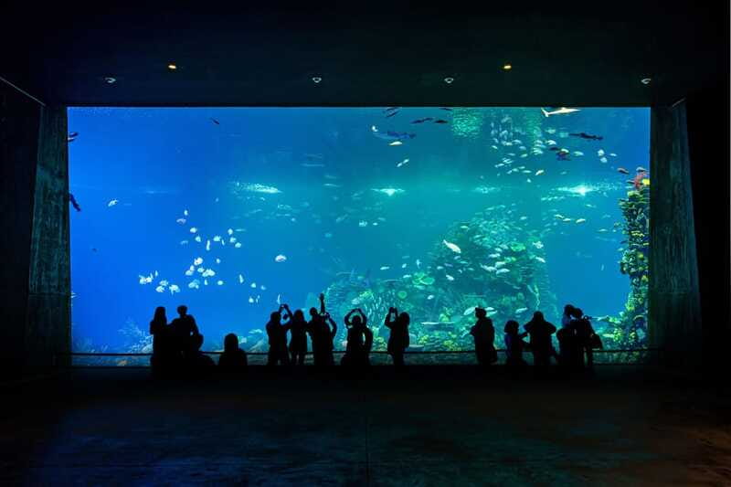 Gran Acuario Mazatlan - What the $30 Admission Gets You