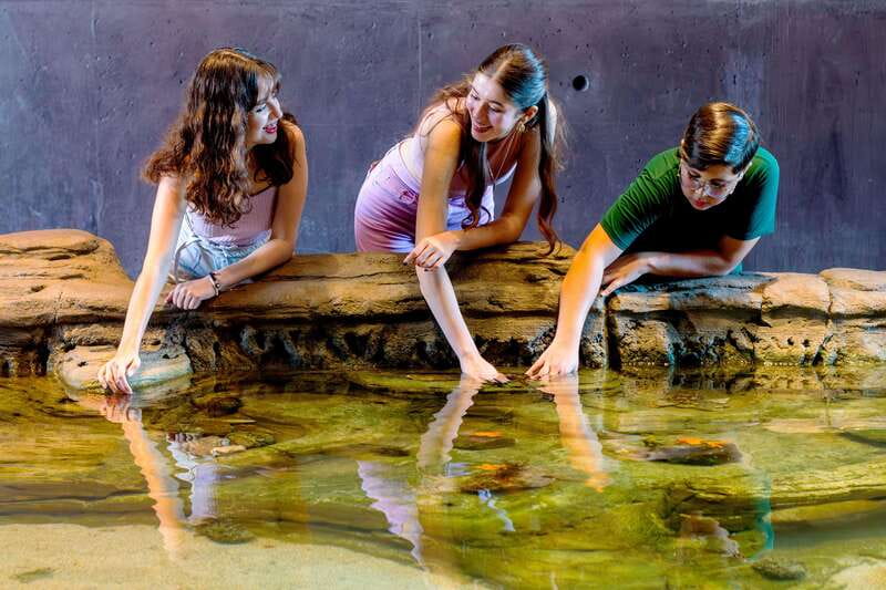 Gran Acuario Mazatlan - Who Will Enjoy Gran Acuario Mazatlan Most?