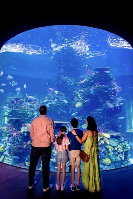 Gran Acuario Mazatlan - Should You Book Gran Acuario Mazatlan?