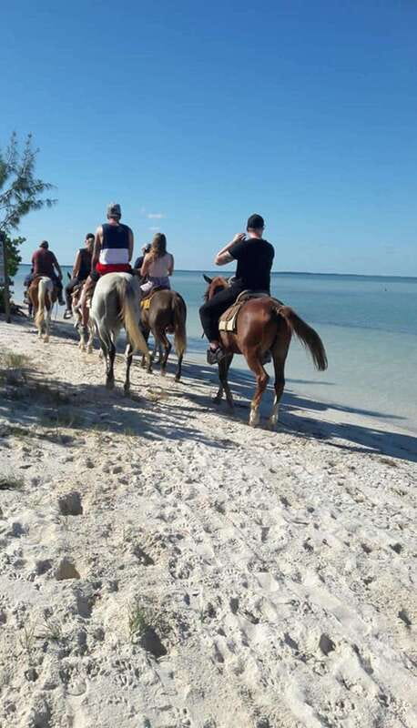 Group horseback ride on Holbox Island, Quintana Roo - Key points to know before you ride