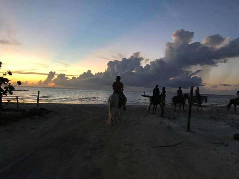 Group horseback ride on Holbox Island, Quintana Roo - Mangrove first, beach second