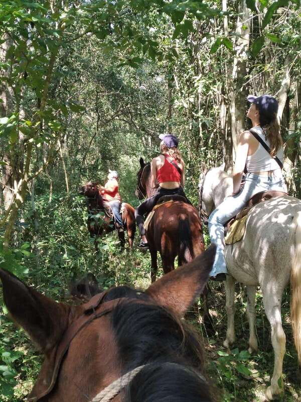 Group horseback ride on Holbox Island, Quintana Roo - A small group keeps the ride personal