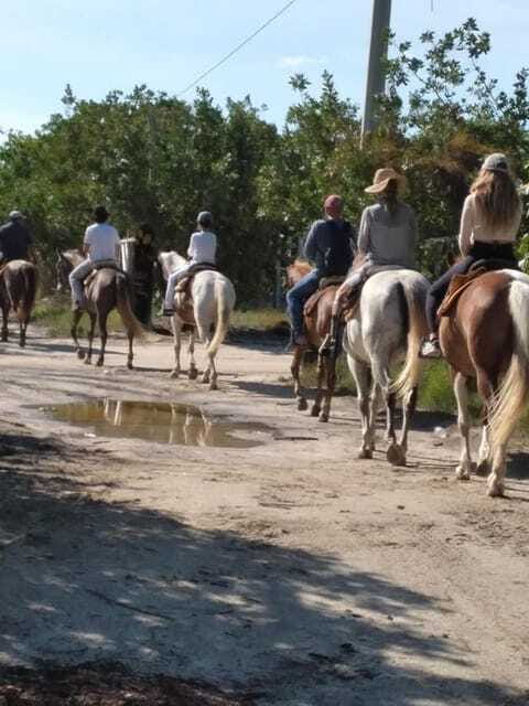 Group horseback ride on Holbox Island, Quintana Roo - Mosquitoes are part of the setting