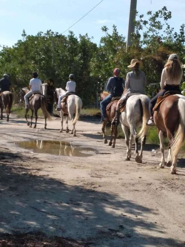 Group horseback ride on Holbox Island, Quintana Roo - What riding your own horse means