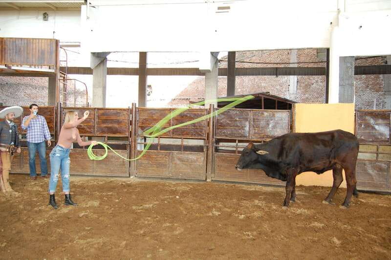 Guadalajara: Mexican Charro and Charreada Cultural Tour - Brushing, saddling, and choosing horses for the parade