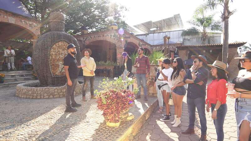 Guadalajara: Premium Tequila Tour with Tastings and Pairings - Key points at a glance