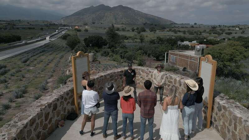 Guadalajara: Premium Tequila Tour with Tastings and Pairings - Why the tequila route works as a day trip