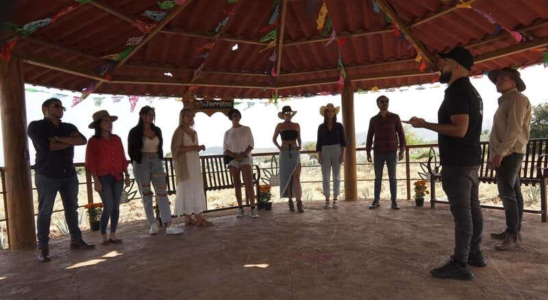 Guadalajara: Premium Tequila Tour with Tastings and Pairings - Tequila Selecto, from traditional work to modern production