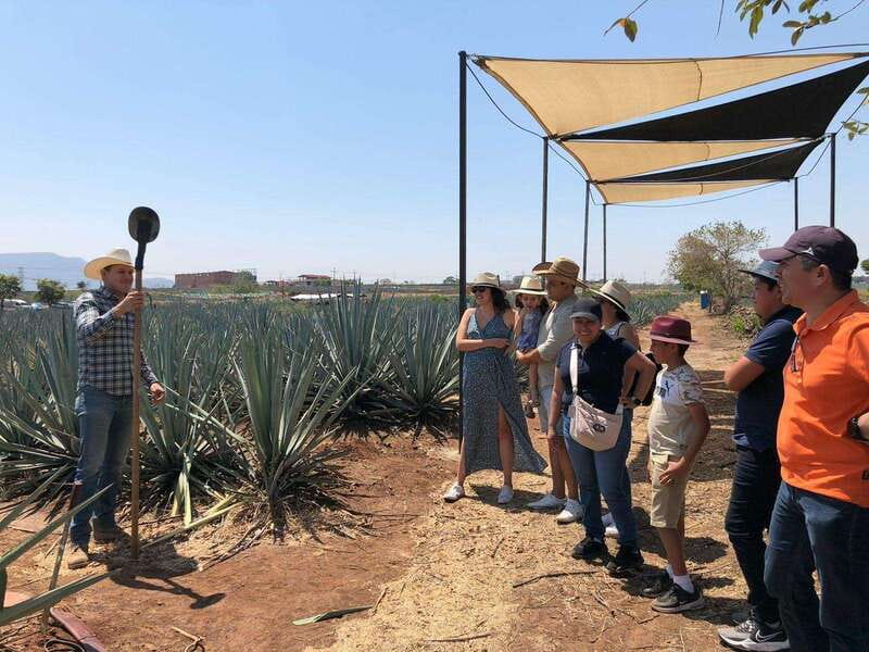 Guadalajara: Premium Tequila Tour with Tastings and Pairings - Cantaritos El Guero, the noisy grand finale