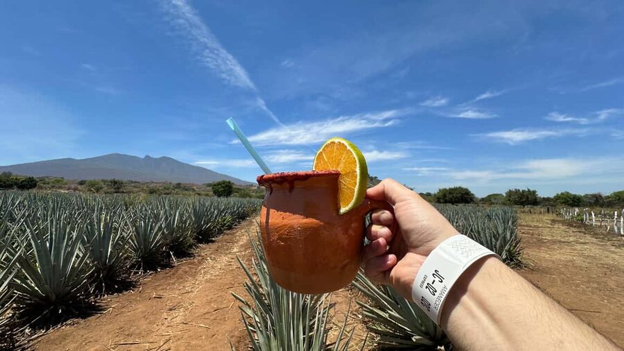 Guadalajara: Tequila Day Trip with Jose Cuervo Option - From Guadalajara into blue agave country