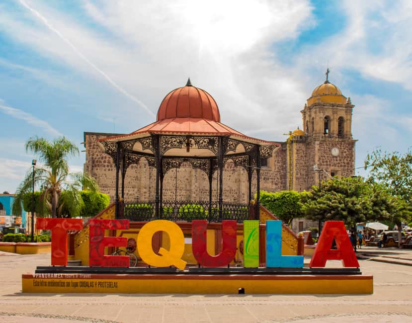 Guadalajara: Tequila Day Trip with Jose Cuervo Option - Choosing the José Cuervo option