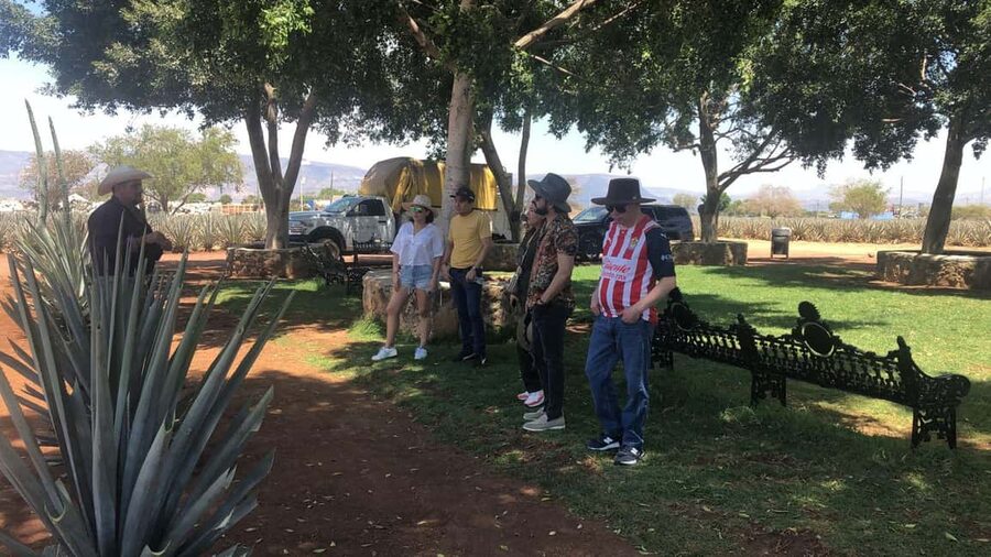 Guadalajara: Tequila Day Trip with Jose Cuervo Option - Small details that make the day easier