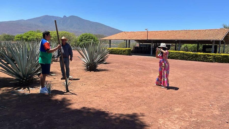 Guadalajara: Tequila Day Trip with Jose Cuervo Option - Learning what is inside the bottle