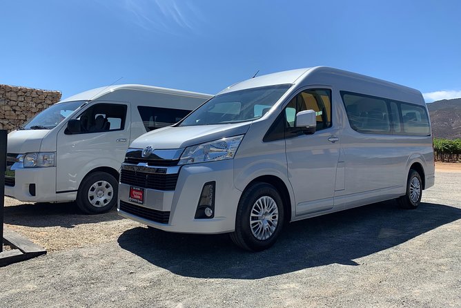Guadalupe Valley Private Driver Tour - Viña de Frannes: vineyards and Mexican wine