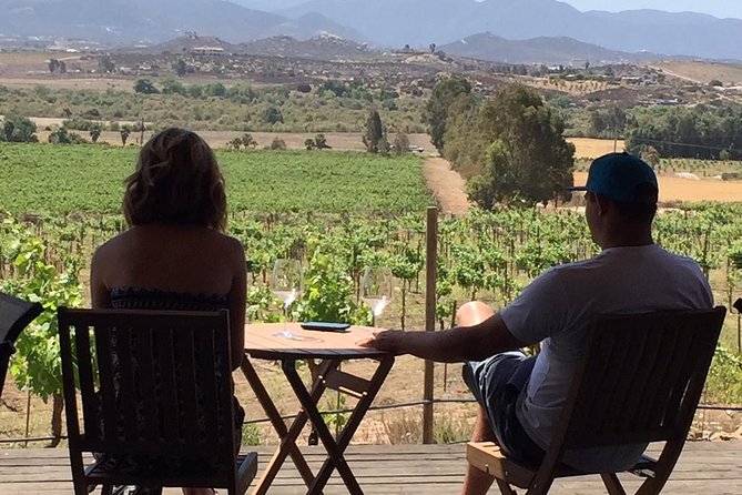 Guadalupe Valley Wine Route Tour in Baja California - Transportation is the practical heart of the tour
