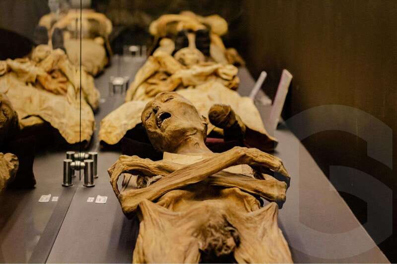 Guanajuato: Mummies, Mines and Tunnels Guided Group Tour - What the $14 price really covers