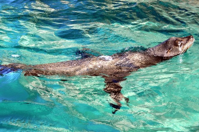 Guided Tour Los Cabos: Boat | Tacos & Tequila | Photos & Transfer - What the pace feels like