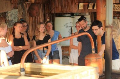 Guided tour of an ancestral Mezcal distillery with transport