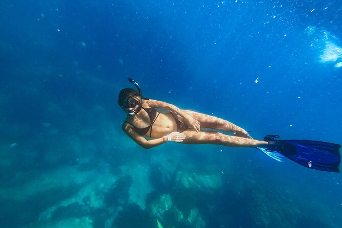Half Day Cabo Snorkel Adventure with Lunch and Open Bar - Two bays, one boat, and a Cabo finale