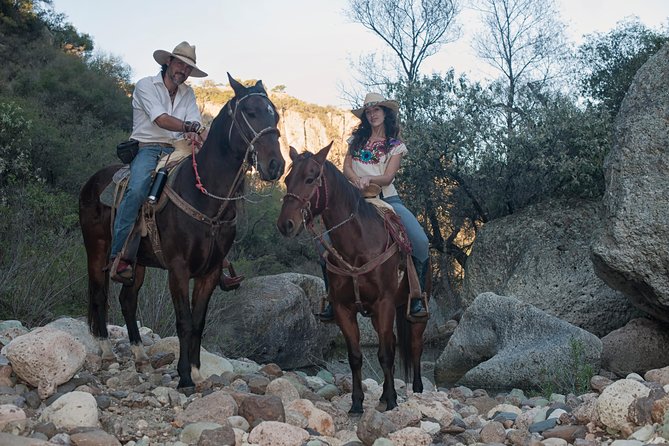 Half-Day Horseback Riding Adventure - Plains, cattle, and the descent
