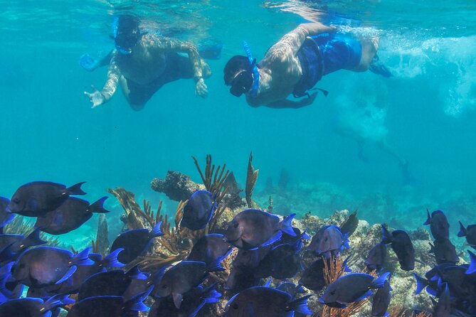 Half-Day Luxury Sailing Experience in Tulum with Open Bar - Crowding, delays, and weather concerns