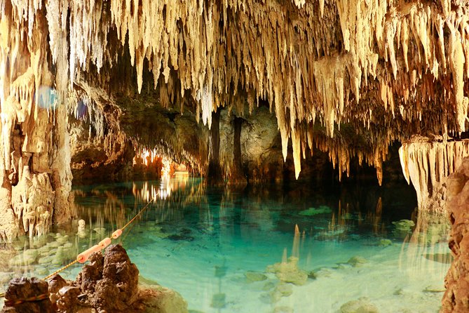 Half-Day Sea Turtle and Cenote Snorkeling Tour from Cancun & Riviera Maya - Guides, photographers, and the group atmosphere