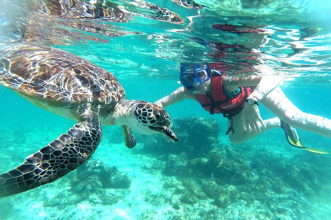 Half-Day Sea Turtle and Cenote Snorkeling Tour from Cancun & Riviera Maya - Transportation and the long day behind the half-day label