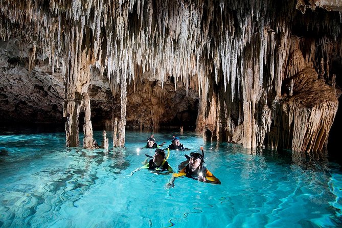 Half-Day Sea Turtle and Cenote Snorkeling Tour from Cancun & Riviera Maya - What to pack and what to budget