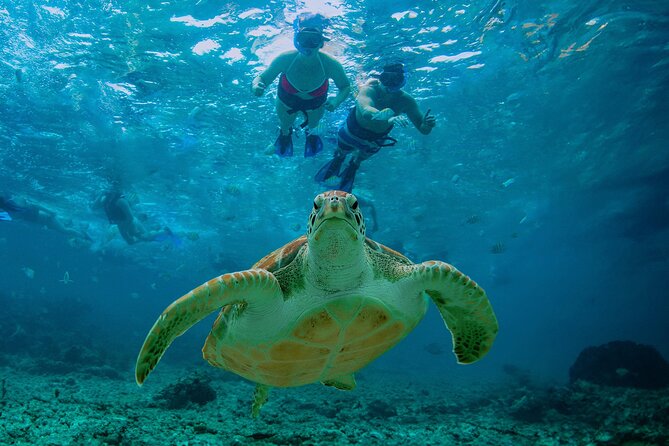Hidden Cenote Swim: Snorkeling, Sea Turtles and Beachside Lunch - Lunch at Punta Venado Beach Club