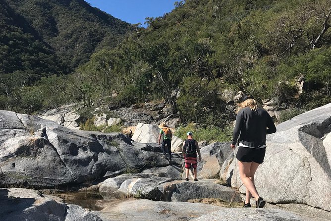 Hike the native Pericu road in Sierra de la Laguna. - Key things to know before you book