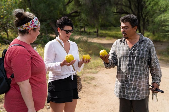 Hike the native Pericu road in Sierra de la Laguna. - A rancho meal that adds real local context