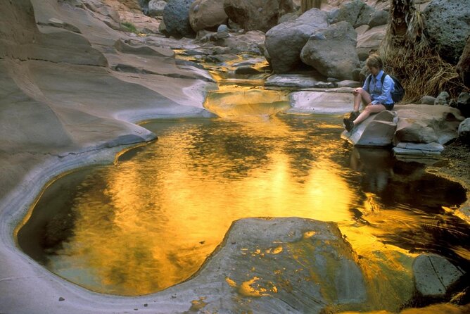 Hike the native Pericu road in Sierra de la Laguna. - Plants, wildlife, and the Pericu story