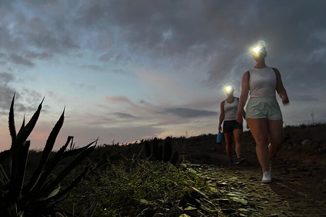 Hiking Todos Santos at Sunset - Desert plants, animals, and local stories