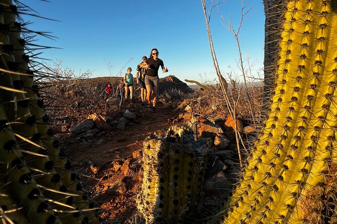 Hiking Todos Santos at Sunset - Your hour in Todos Santos