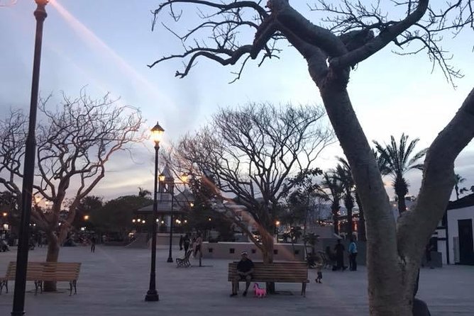 Historical and Cultural Walking Tour of San José del Cabo - Legends, pirates, and the Baja Peninsula