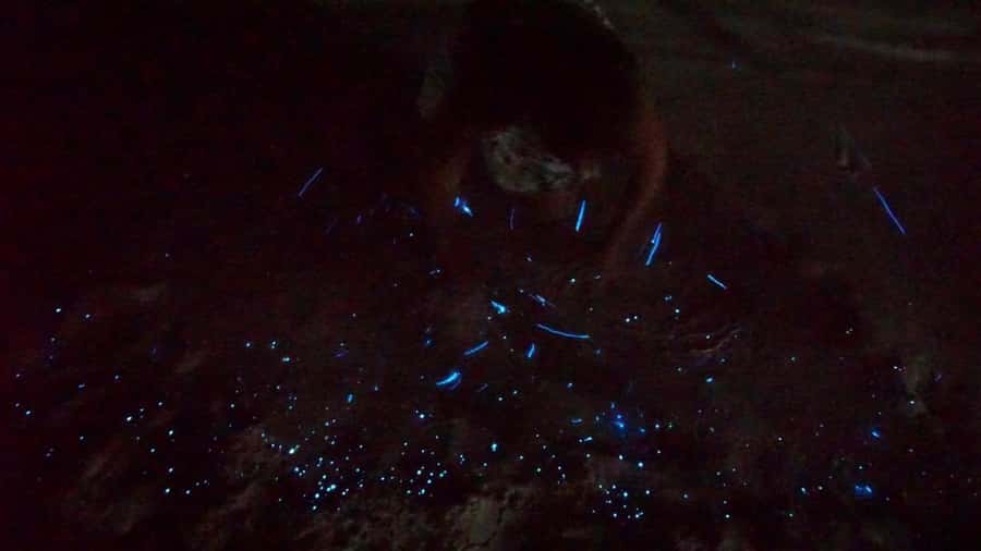 Holbox: Bioluminescence by Kayak and Stargazing. - Walking across a sandbar that lights up
